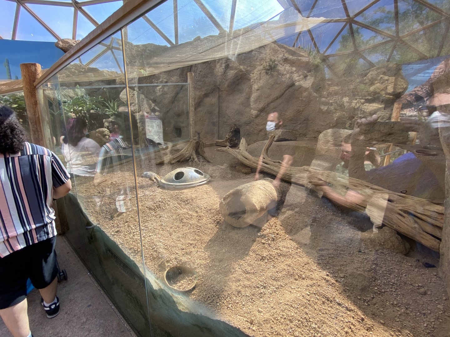 Jun. 2021 - Deserts - Meerkat Exhibit
