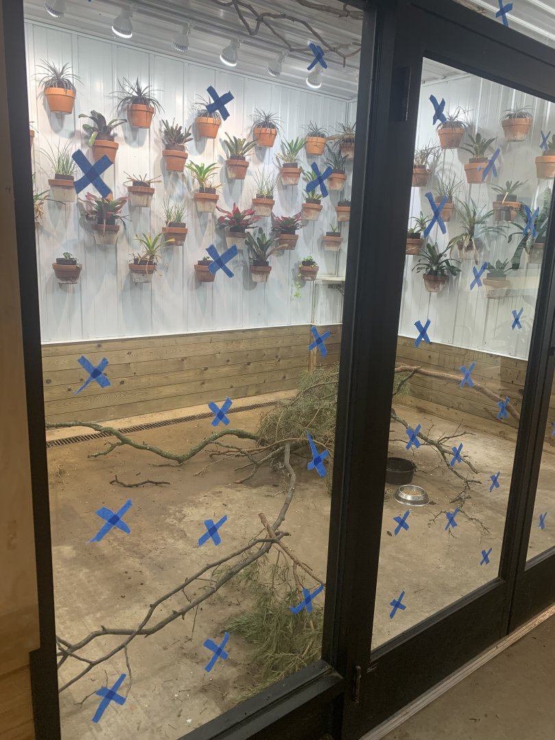 Jun. 2021- Enrichment Room