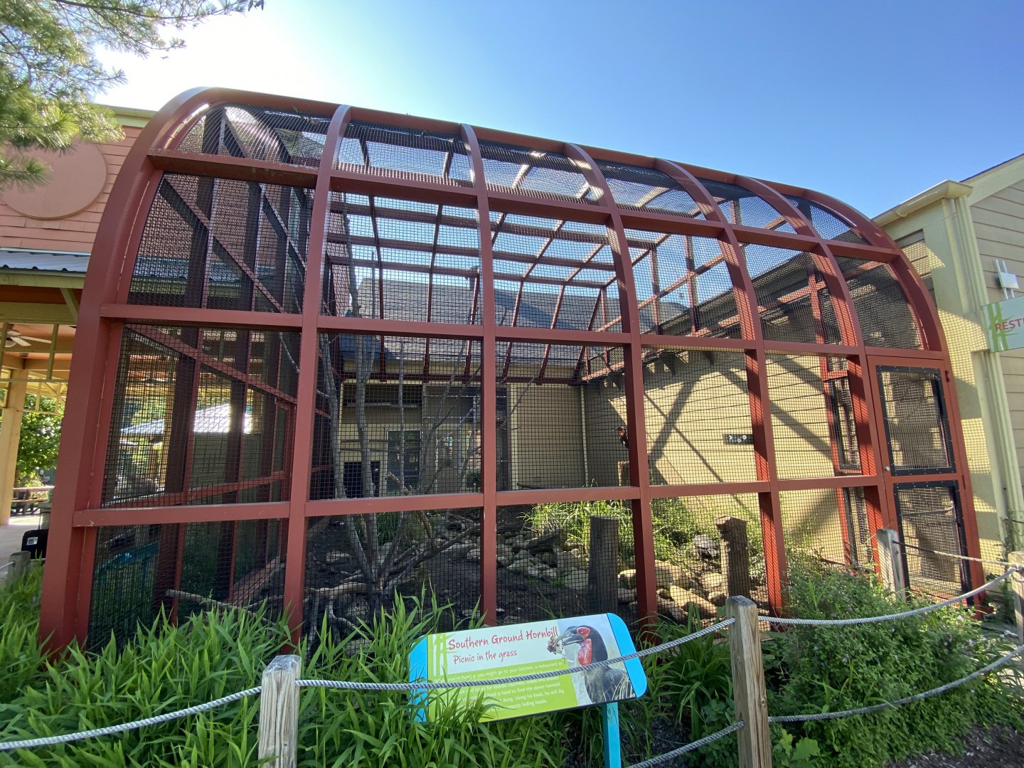 Jun. 2021 - Flights of Fancy: A Brilliance of Birds - Southern Ground Hornbill Exhibit