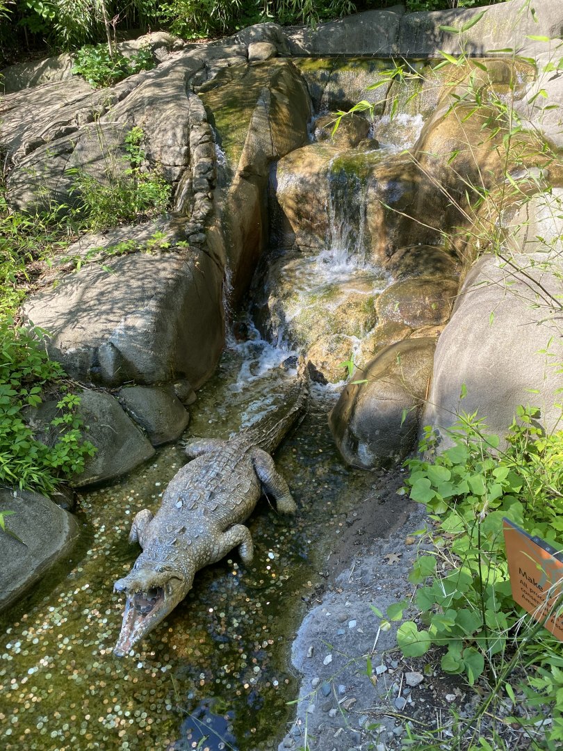 Jun. 2021 - Forests - Crocodile Statue & Waterfall