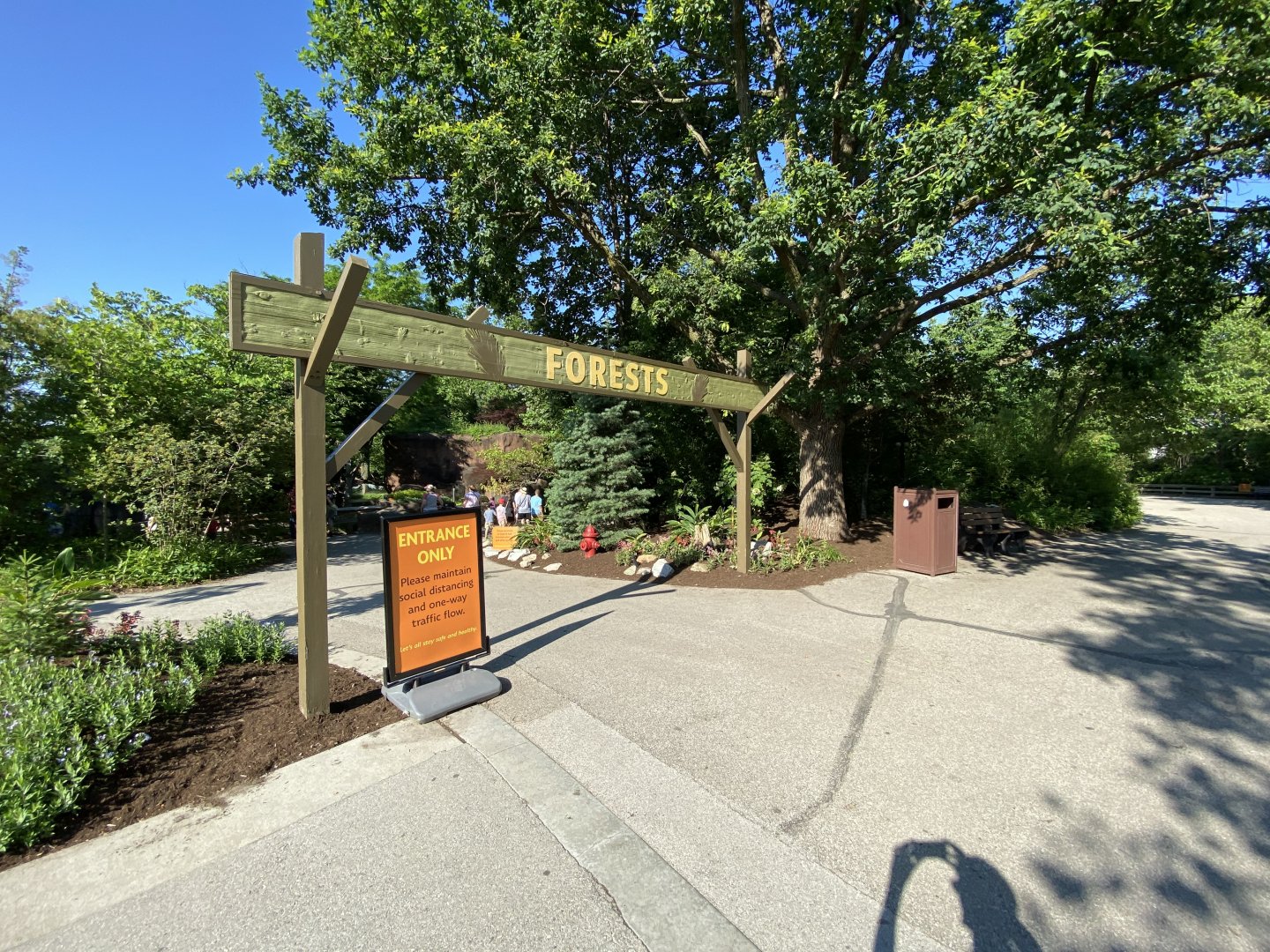 Jun. 2021 - Forests Entrance