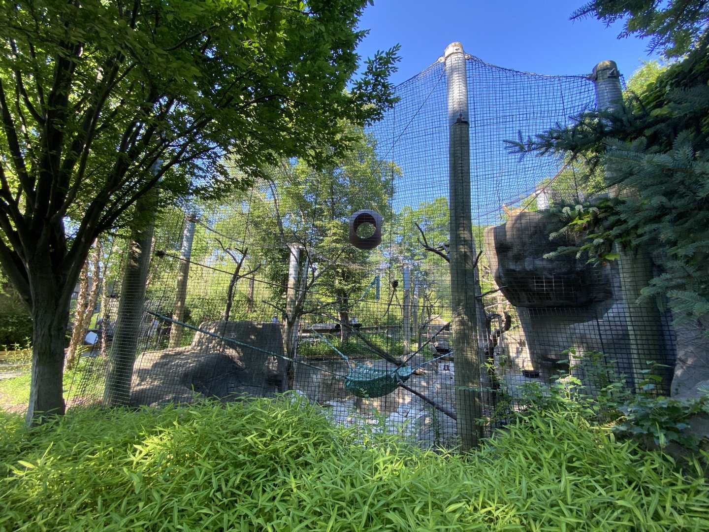 Jun. 2021 - Forests - White-handed Gibbon Exhibit