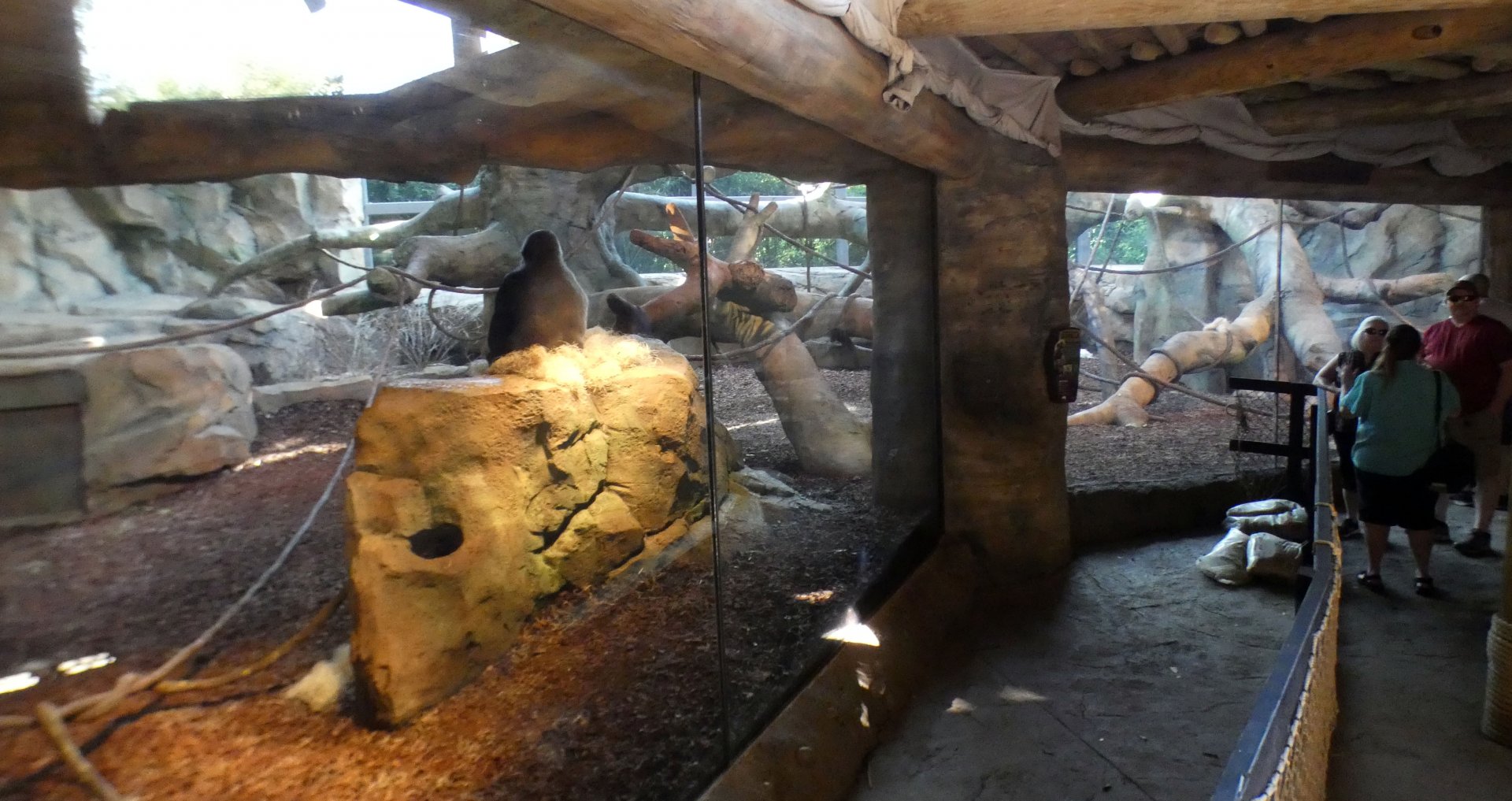 Jun. 2021 - Gorilla World - Indoor Exhibit (Added in 2017)