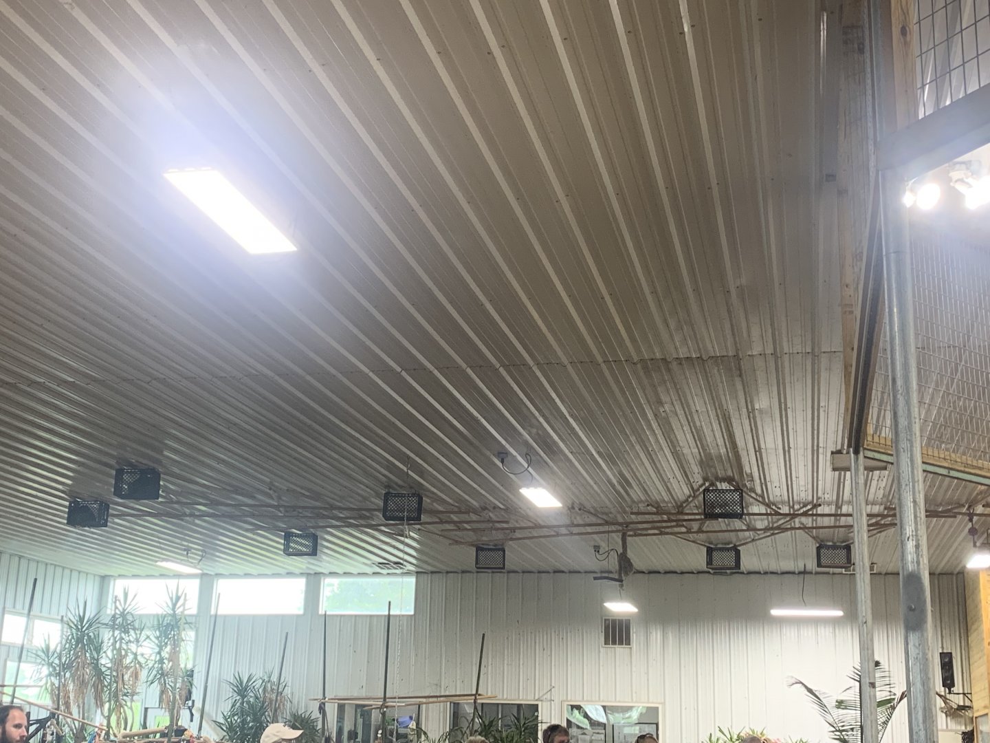 Jun. 2021- Linnaeus’s two-toed sloth ceiling set-up