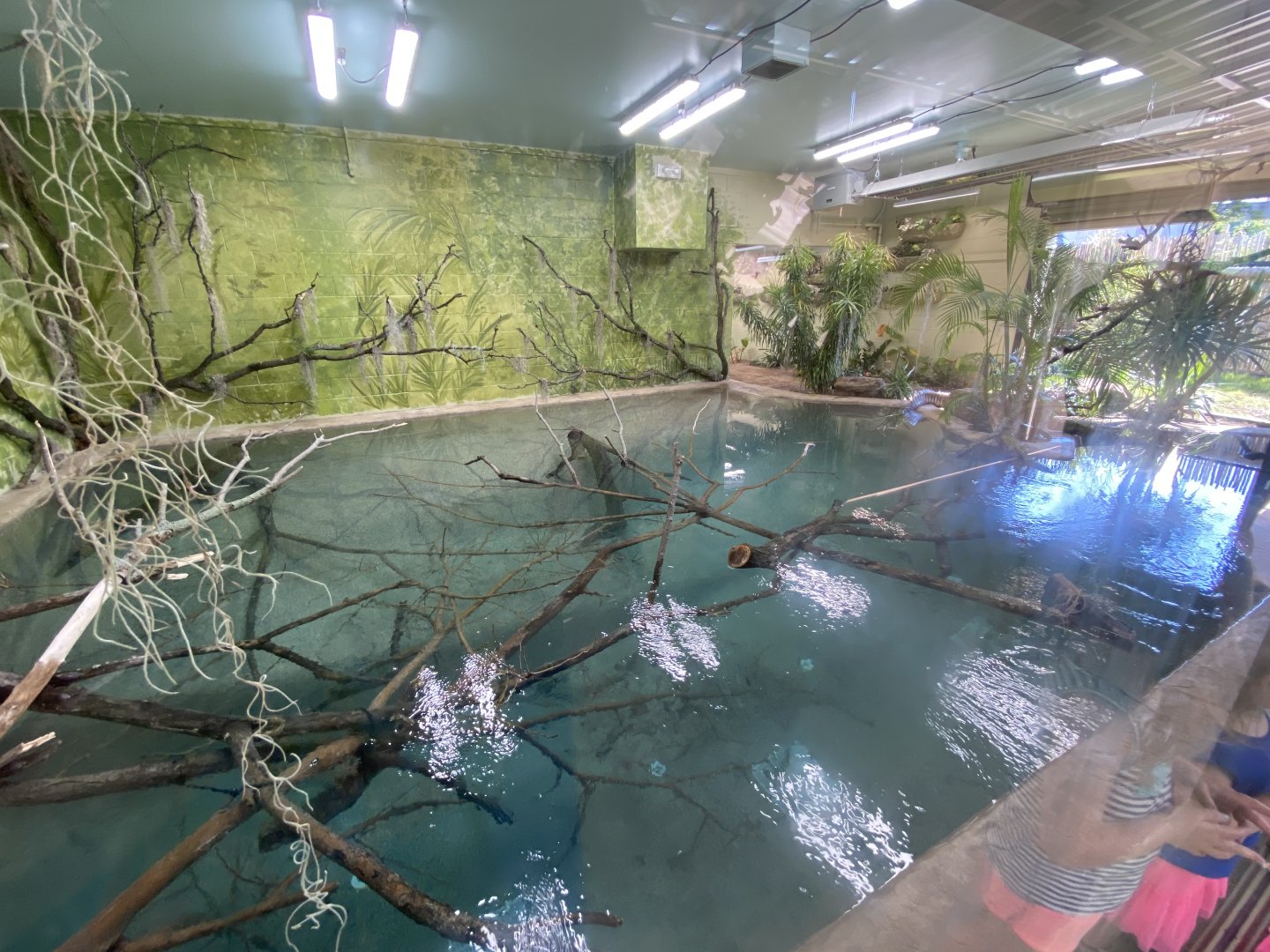 Jun. 2021 - New! Alligators & Crocodiles: The Fight to Survive (2021) - Indoor Alligator/Crocodile Exhibit