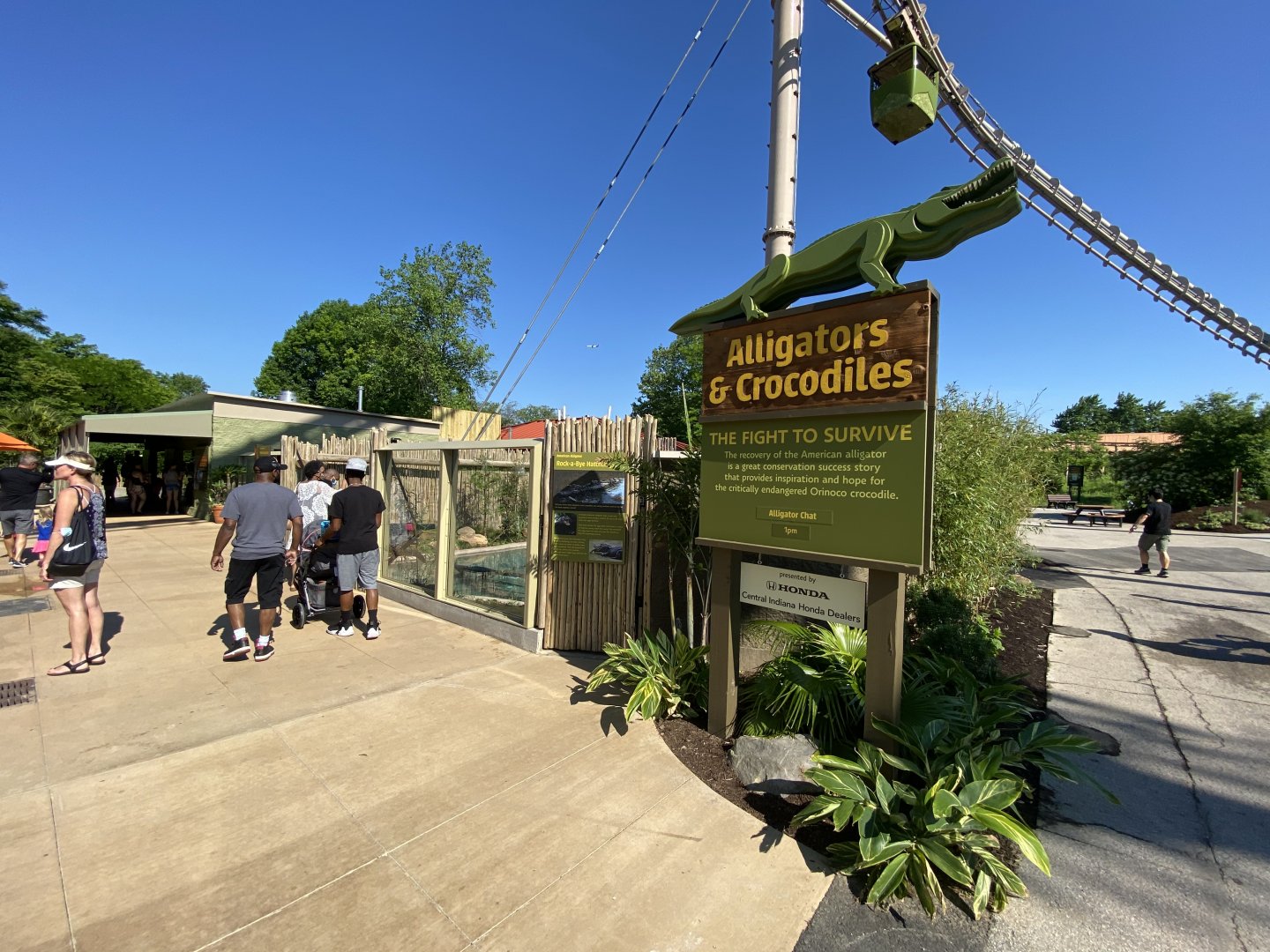 Jun. 2021 - New! Alligators & Crocodiles: The Fight to Survive (2021)