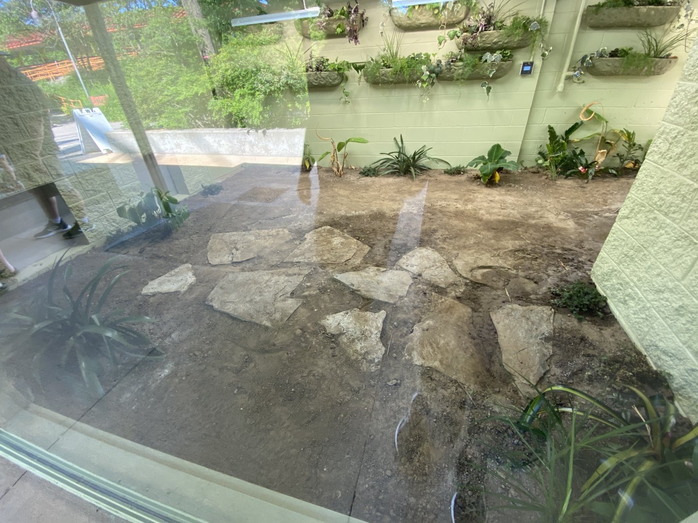 Jun. 2021 - New! Alligators & Crocodiles: The Fight to Survive - Indoor Exhibit Back View