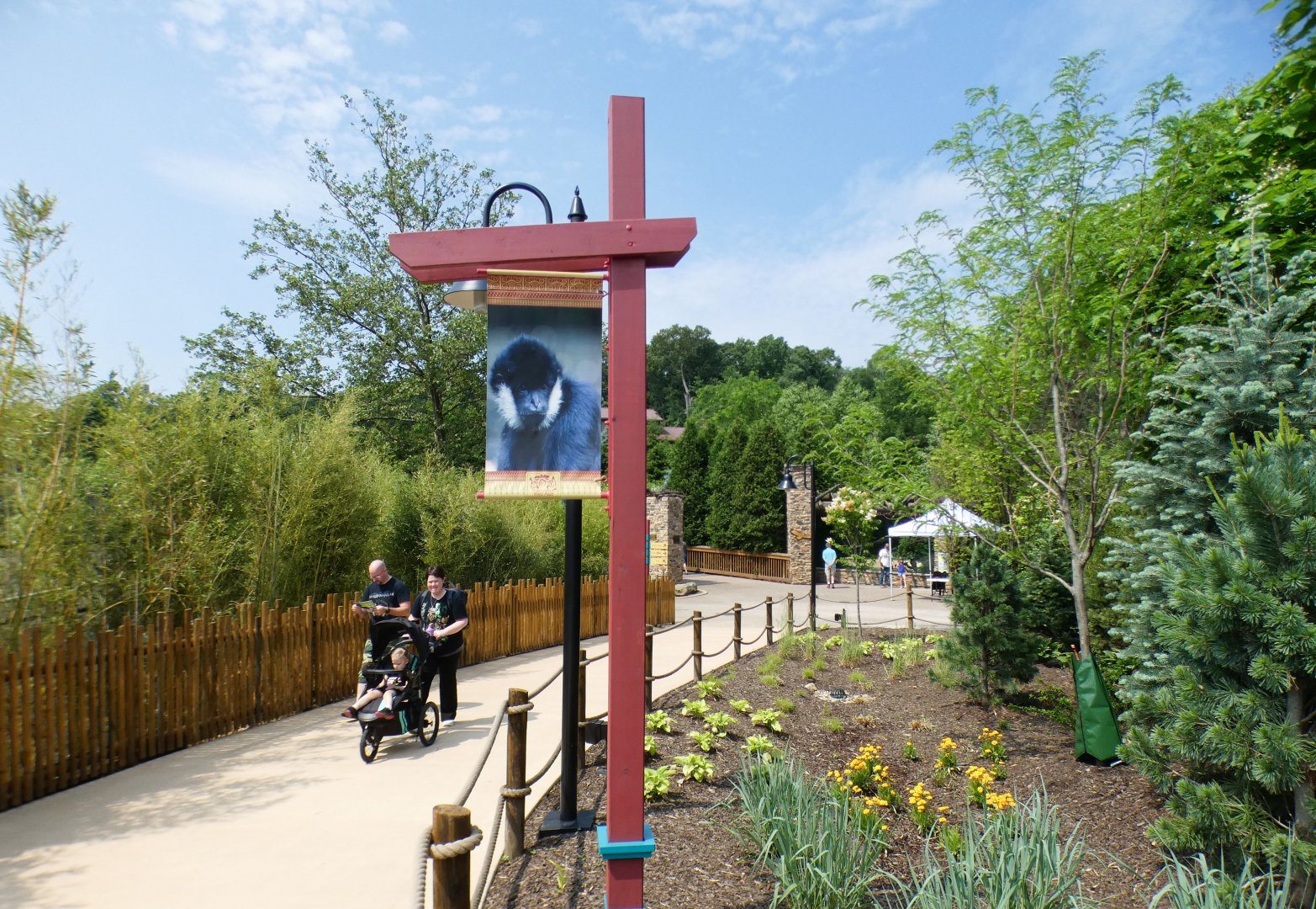 Jun. 2021 - New! Wild Asia - Exit