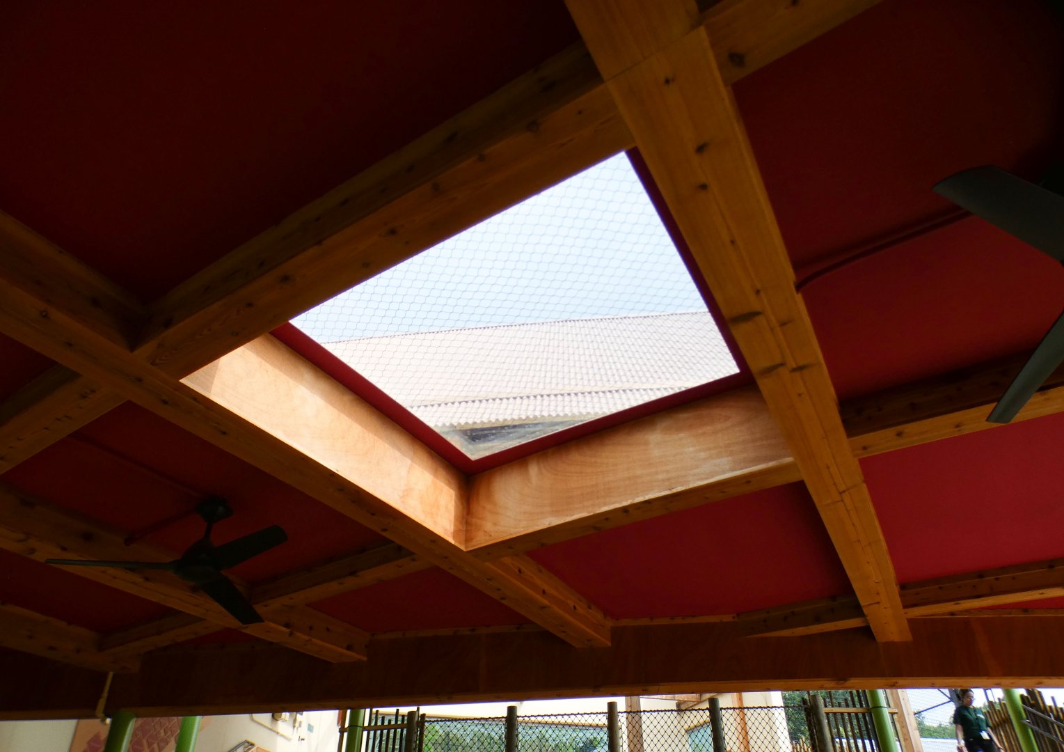 Jun. 2021 - New! Wild Asia - First Sumatran Tiger Exhibit - Overhead Window