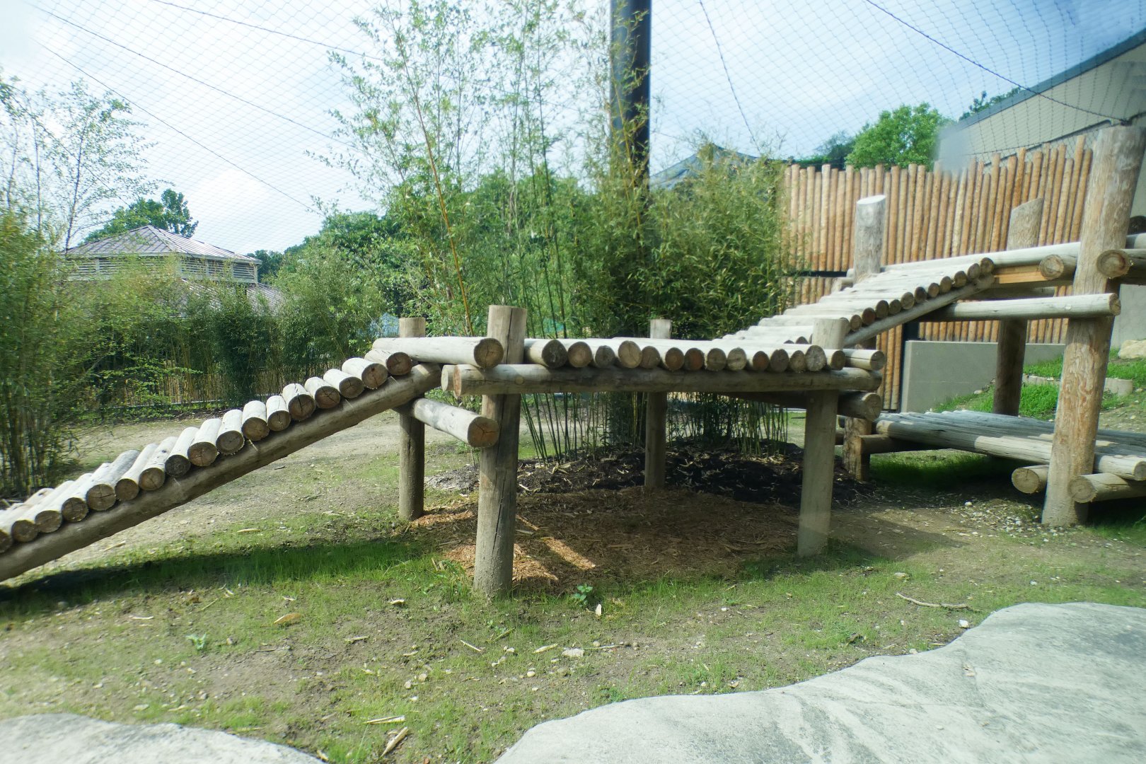 Jun. 2021 - New! Wild Asia - First Sumatran Tiger Exhibit