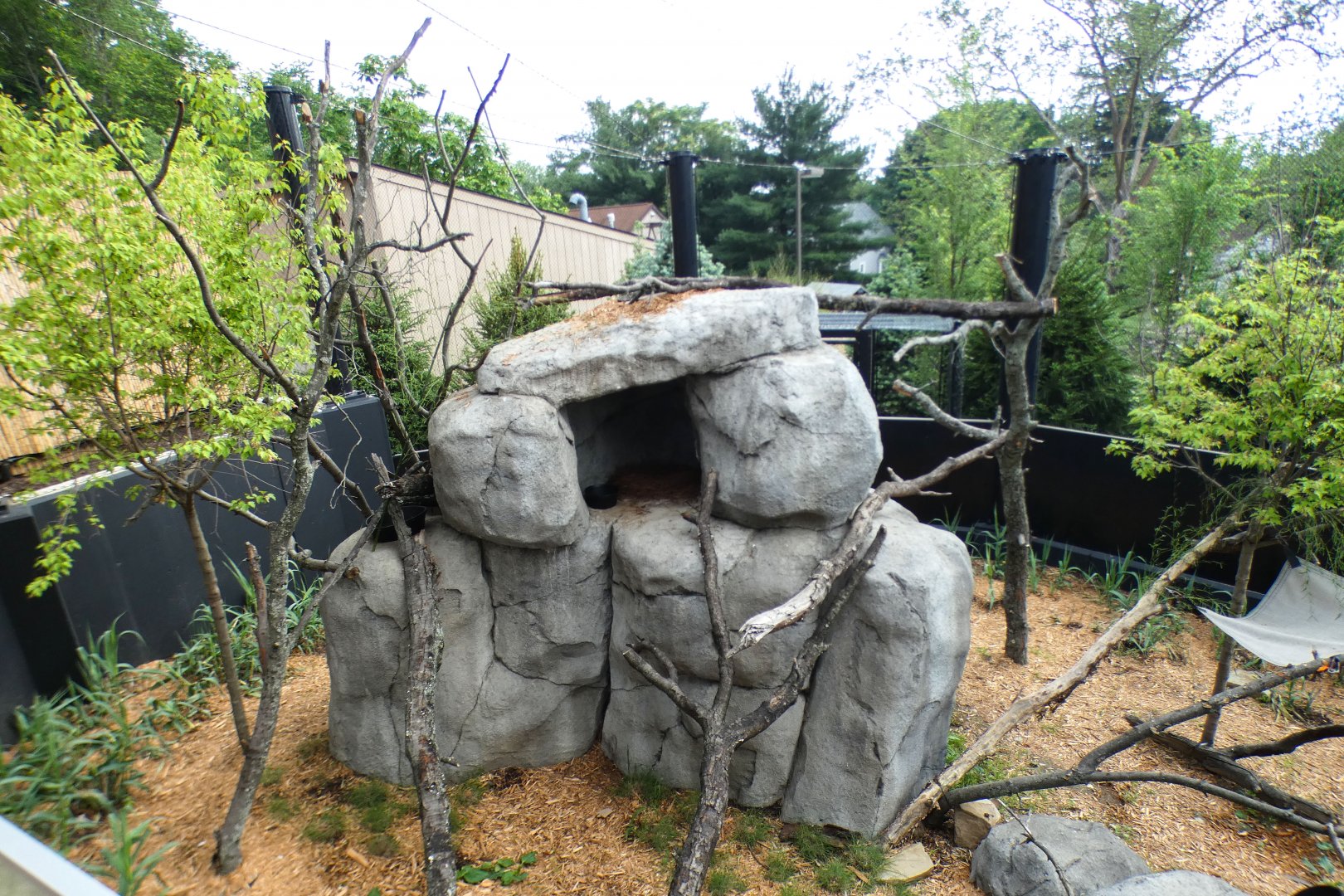 Jun. 2021 - New! Wild Asia - Red Panda Exhibit