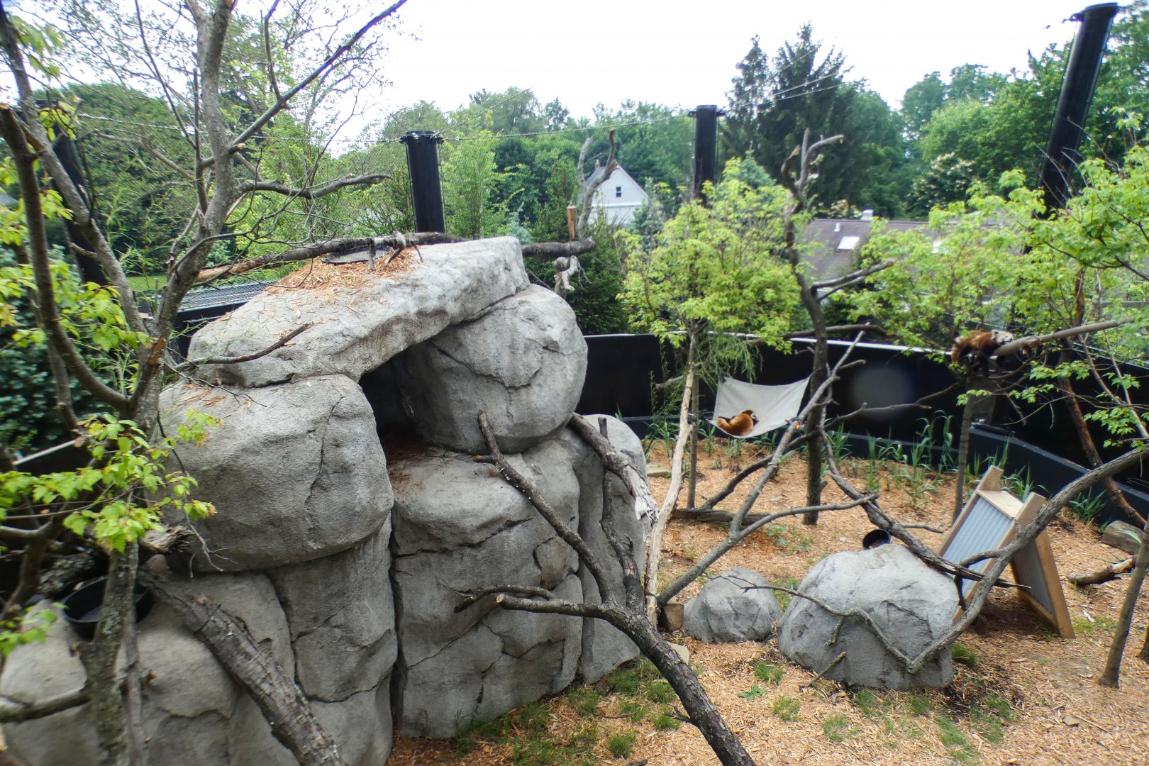 Jun. 2021 - New! Wild Asia - Red Panda Exhibit