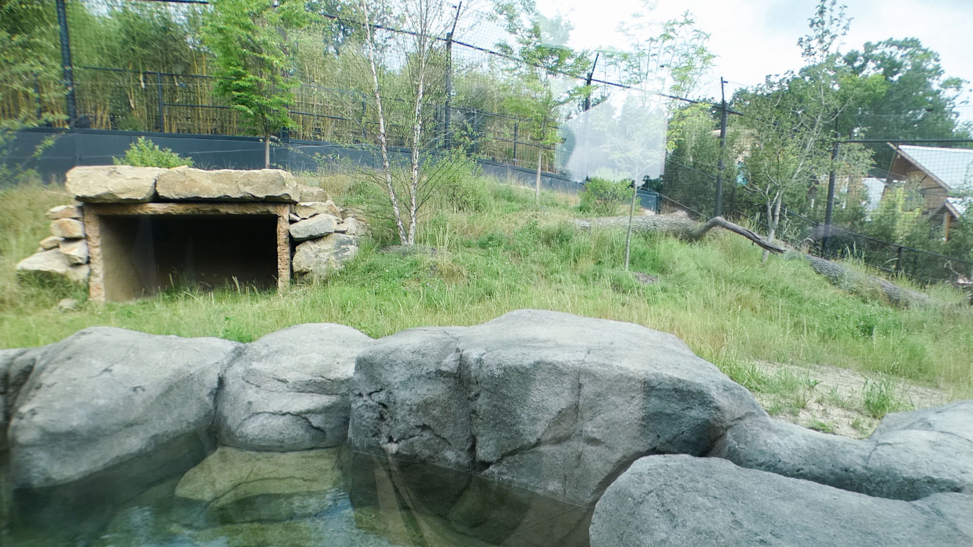 Jun. 2021 - New! Wild Asia - Second Sumatran Tiger Exhibit