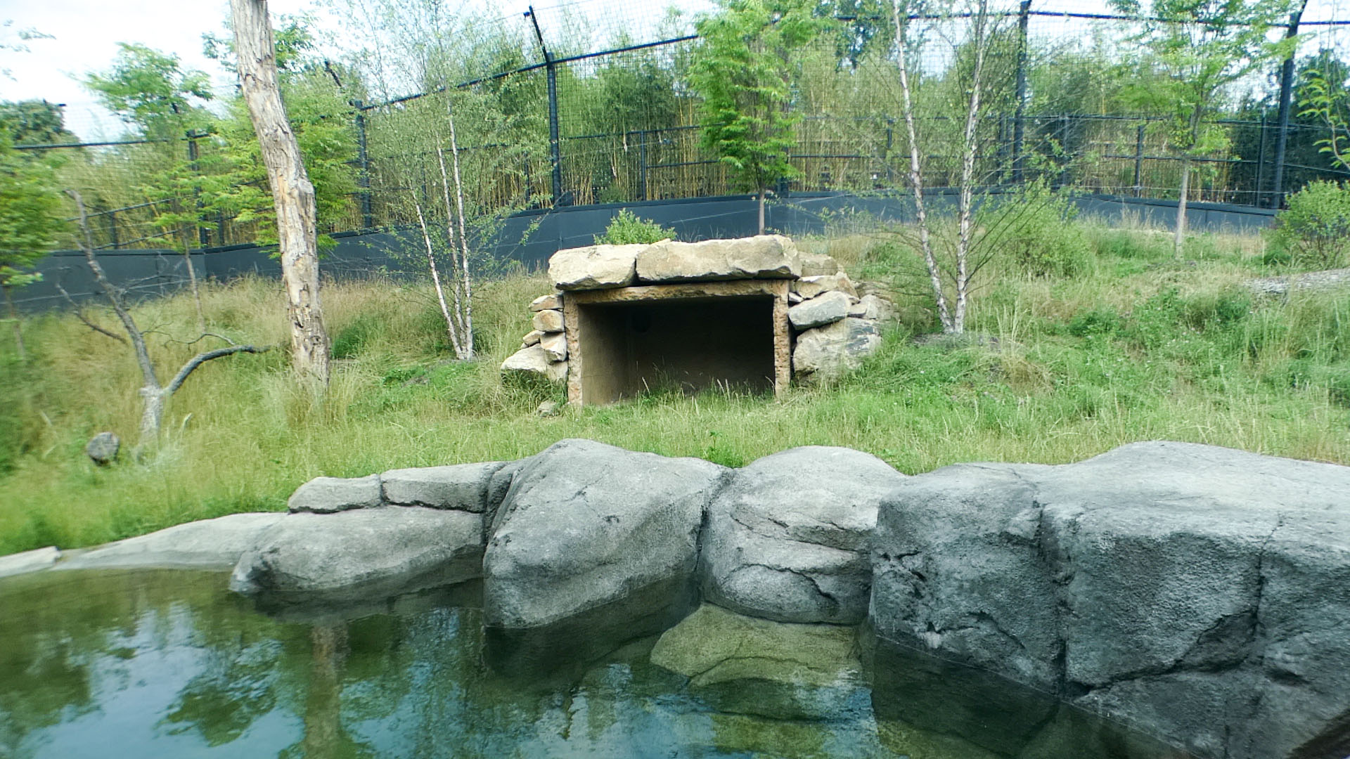 Jun. 2021 - New! Wild Asia - Second Sumatran Tiger Exhibit