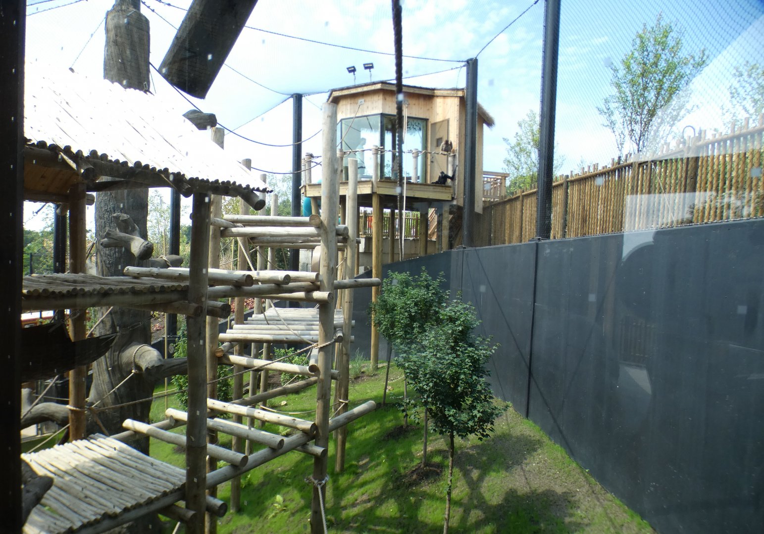 Jun. 2021 - New! Wild Asia - White-cheeked Gibbon Exhibit