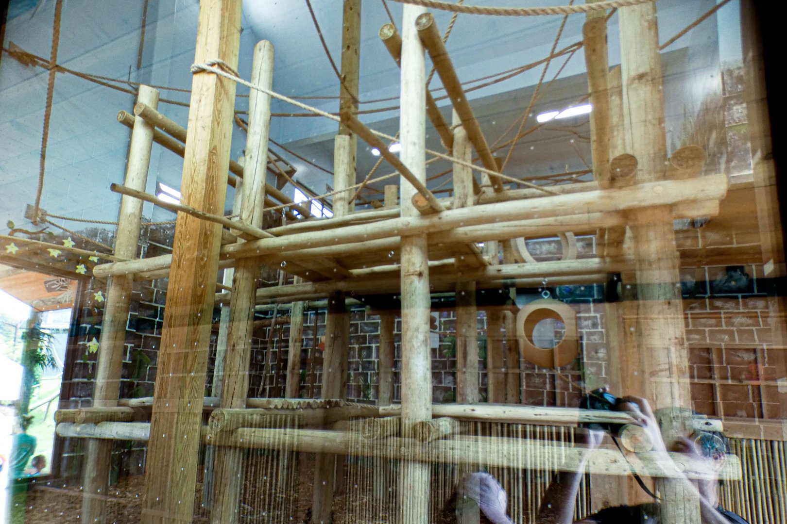 Jun. 2021 - New! Wild Asia - White-cheeked Gibbon Indoor Exhibit - Ground Level