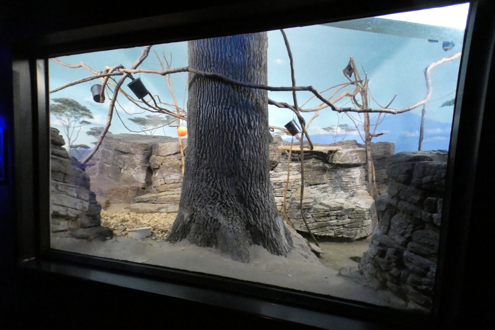 Jun. 2021 - Night Hunters (Lights On) - Aardvark/Greater Bushbaby/Indian Flying Fox Exhibit