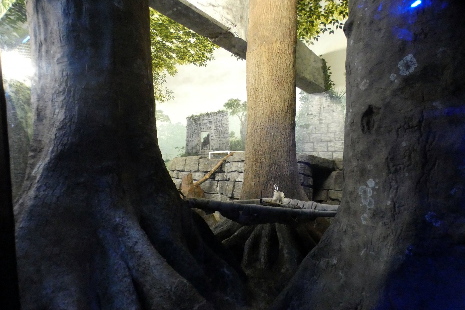 Jun. 2021 - Night Hunters (Lights On) - Southern Brazilian Ocelot Exhibit