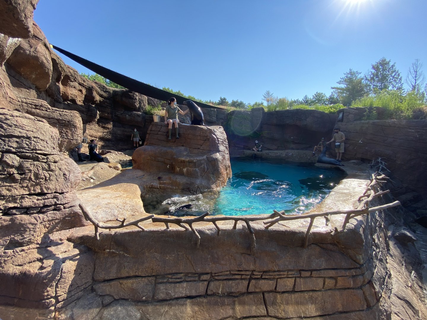 Jun. 2021 - Oceans - Seal/Sea Lion Exhibit