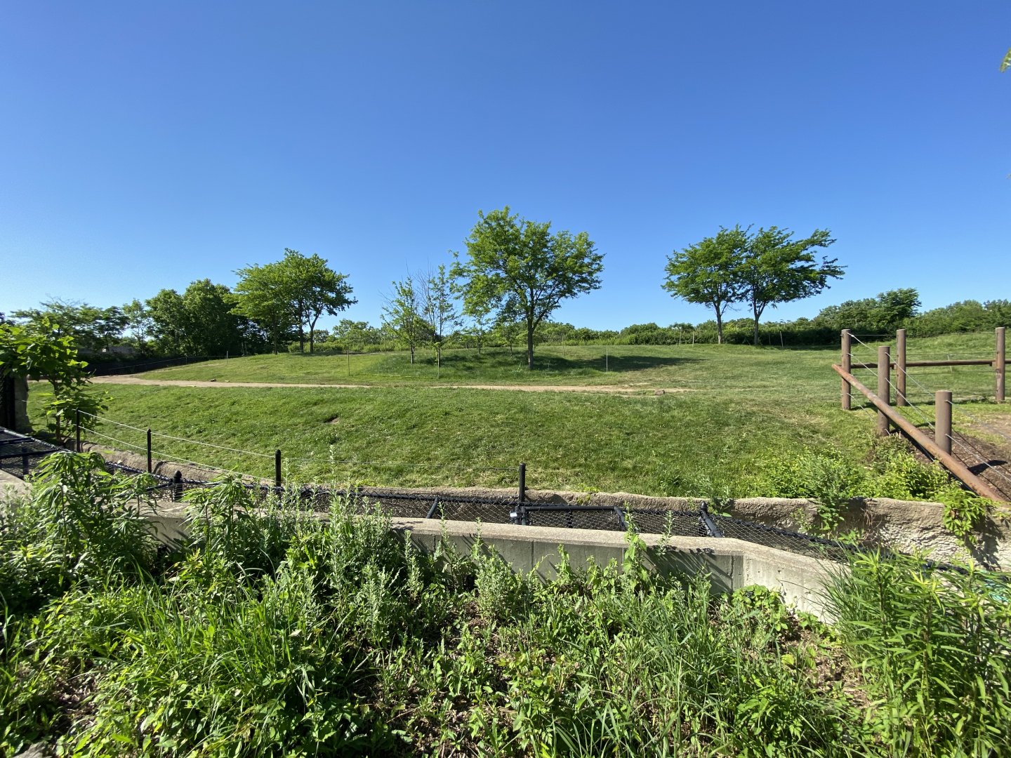Jun. 2021 - Plains - African Elephant Exhibit (1.30 Acres)