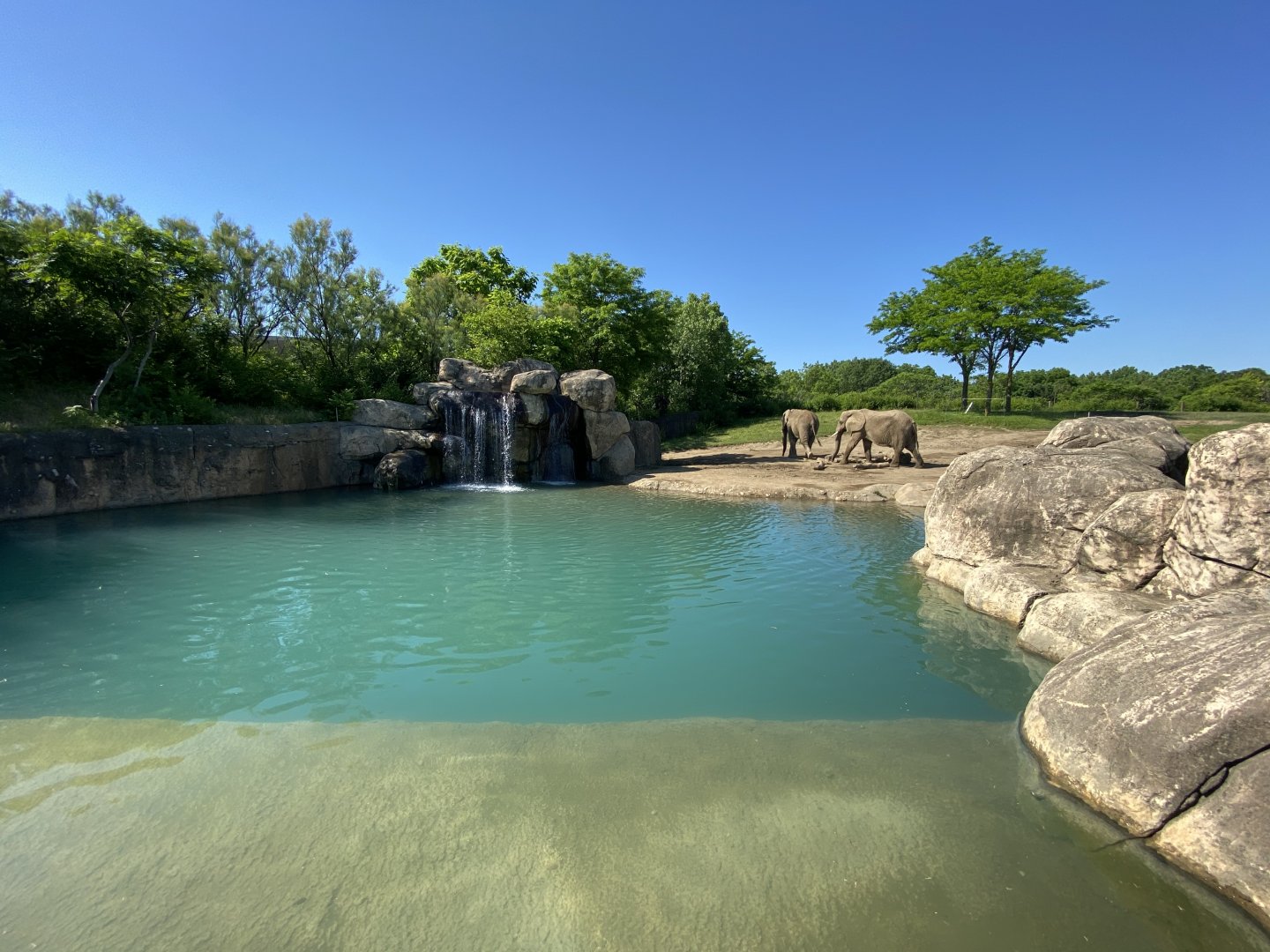 Jun. 2021 - Plains - African Elephant Exhibit (1.30 Acres)