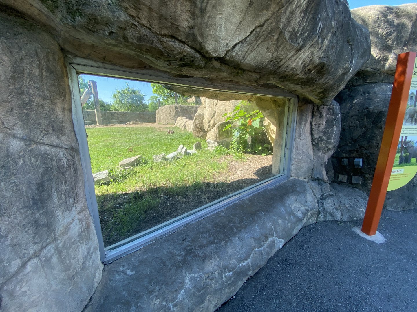 Jun. 2021 - Plains - African Elephant Exhibit Glass Viewing