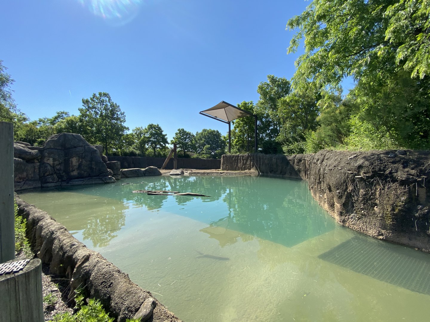 Jun. 2021 - Plains - African Elephant Exhibit