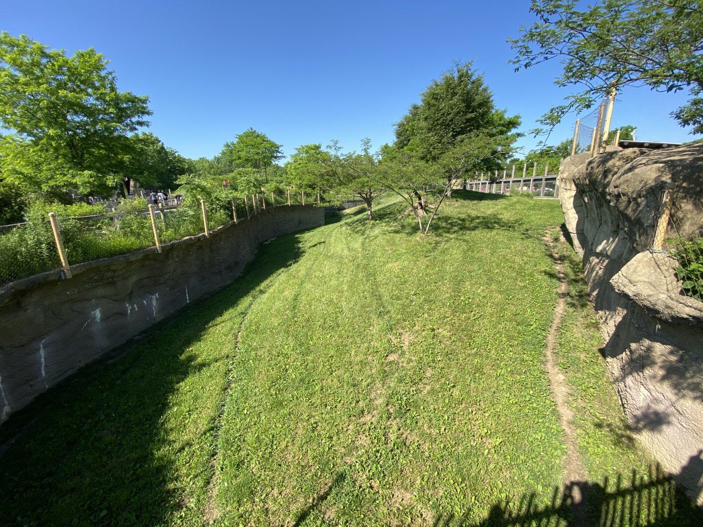 Jun. 2021 - Plains - Cheetah Exhibit #1