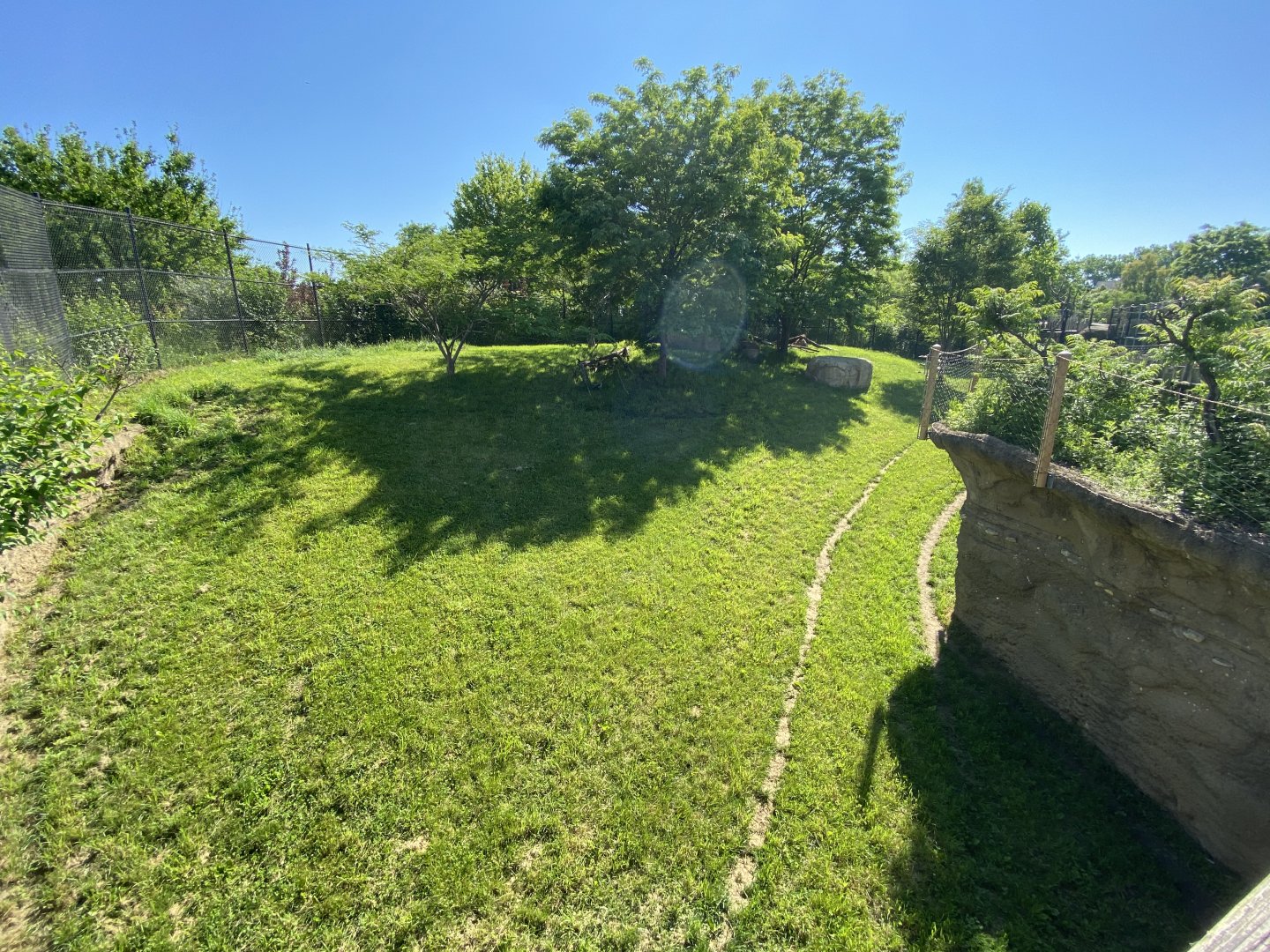 Jun. 2021 - Plains - Cheetah Exhibit #2