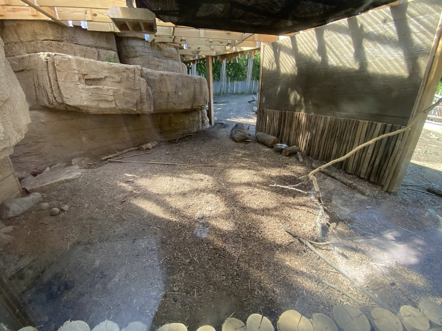 Jun. 2021 - Plains - Indoor Warthog/Cape Porcupine Exhibit