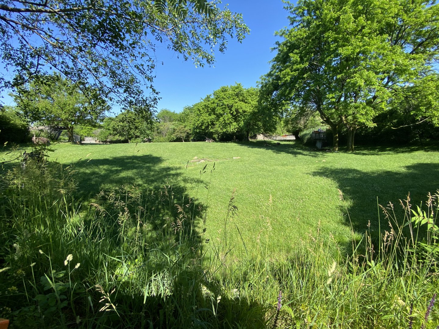 Jun. 2021 - Plains - Mixed-Species Savanna Exhibit (1.05 Acres)