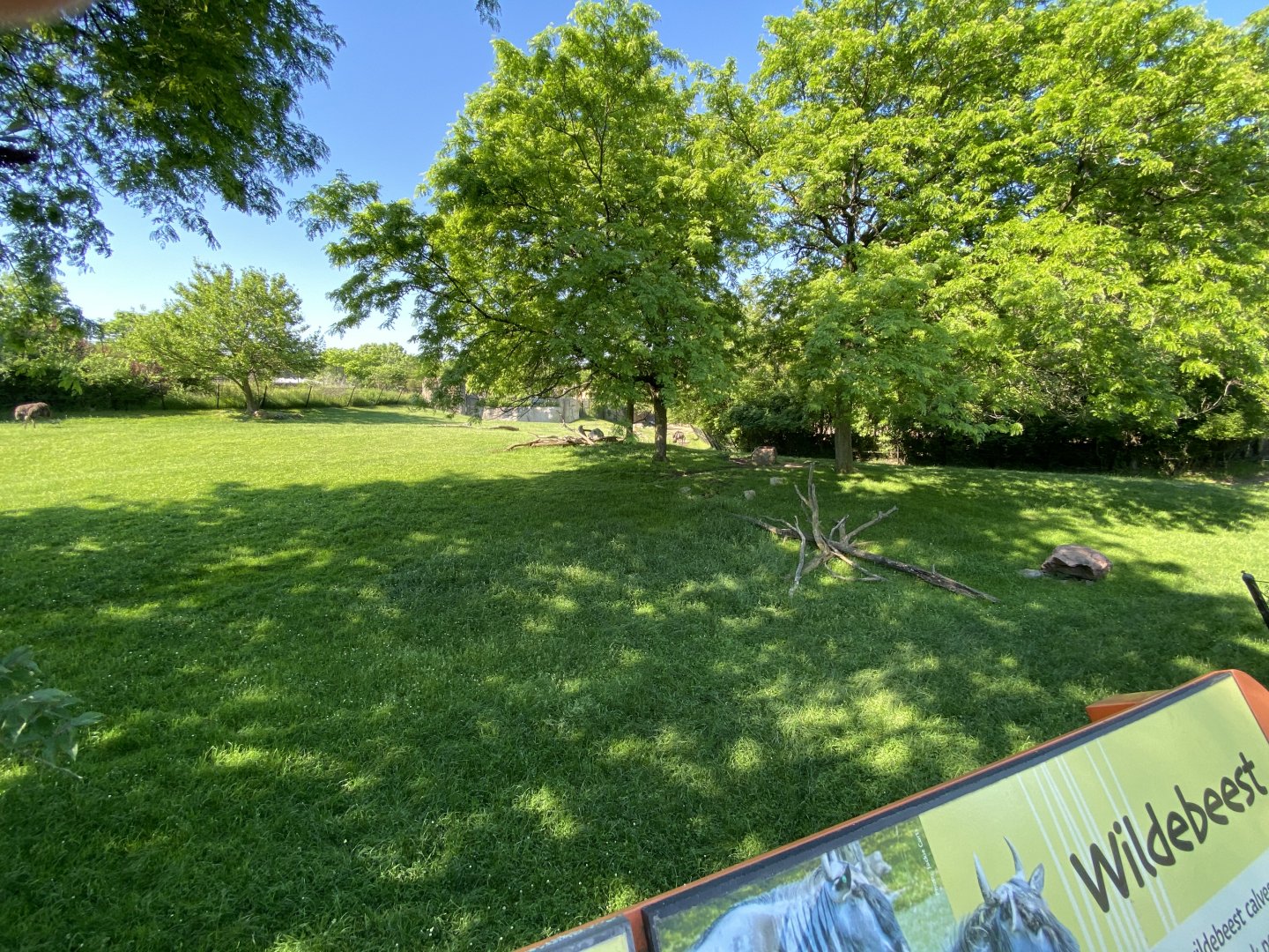 Jun. 2021 - Plains - Mixed-Species Savanna Exhibit (1.05 Acres)