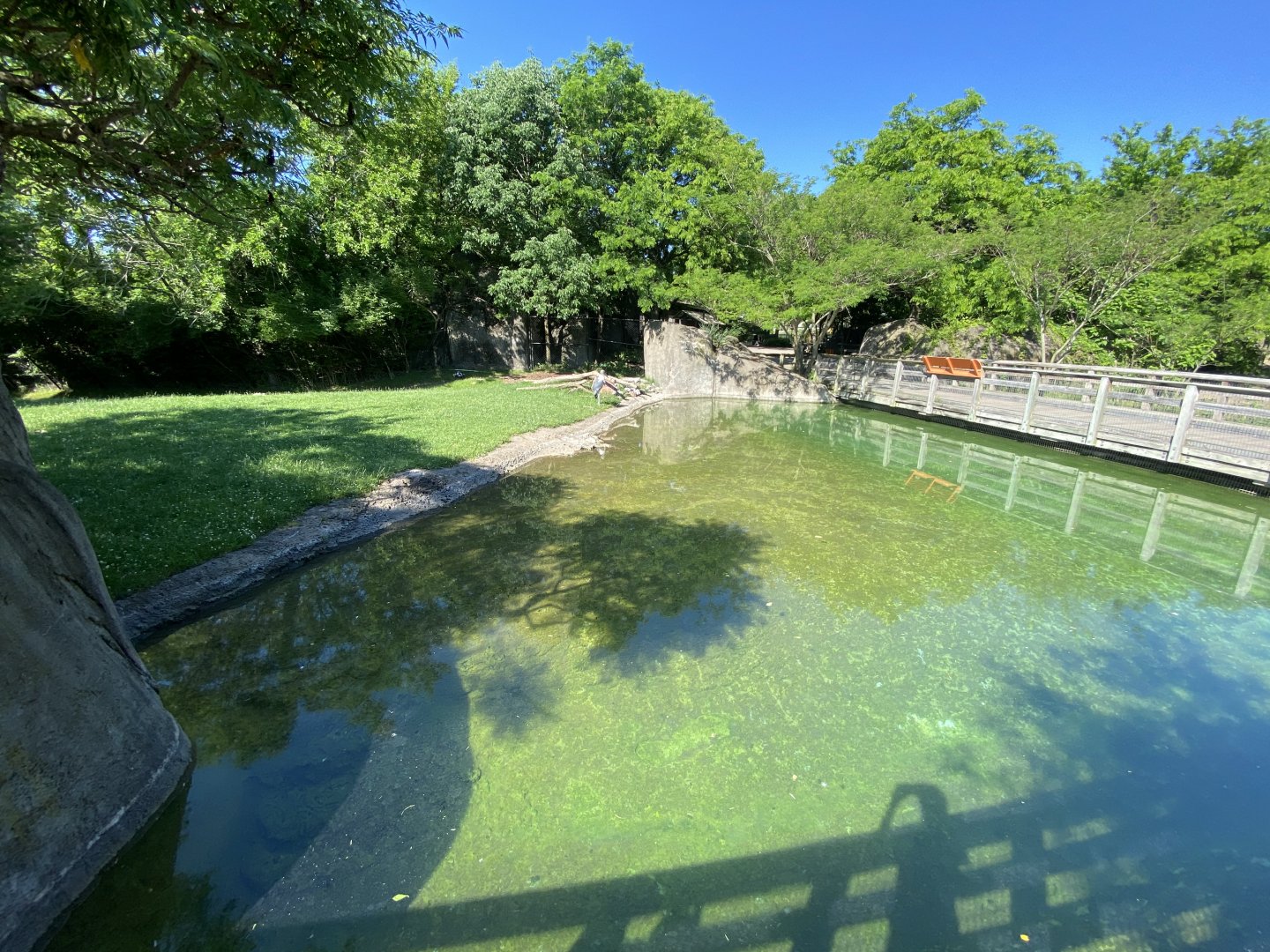 Jun. 2021 - Plains - Savanna Exhibit Waterhole View (Spot the Stork)