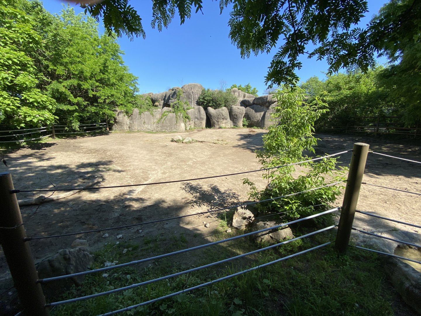 Jun. 2021 - Plains - Southern White Rhino Exhibit
