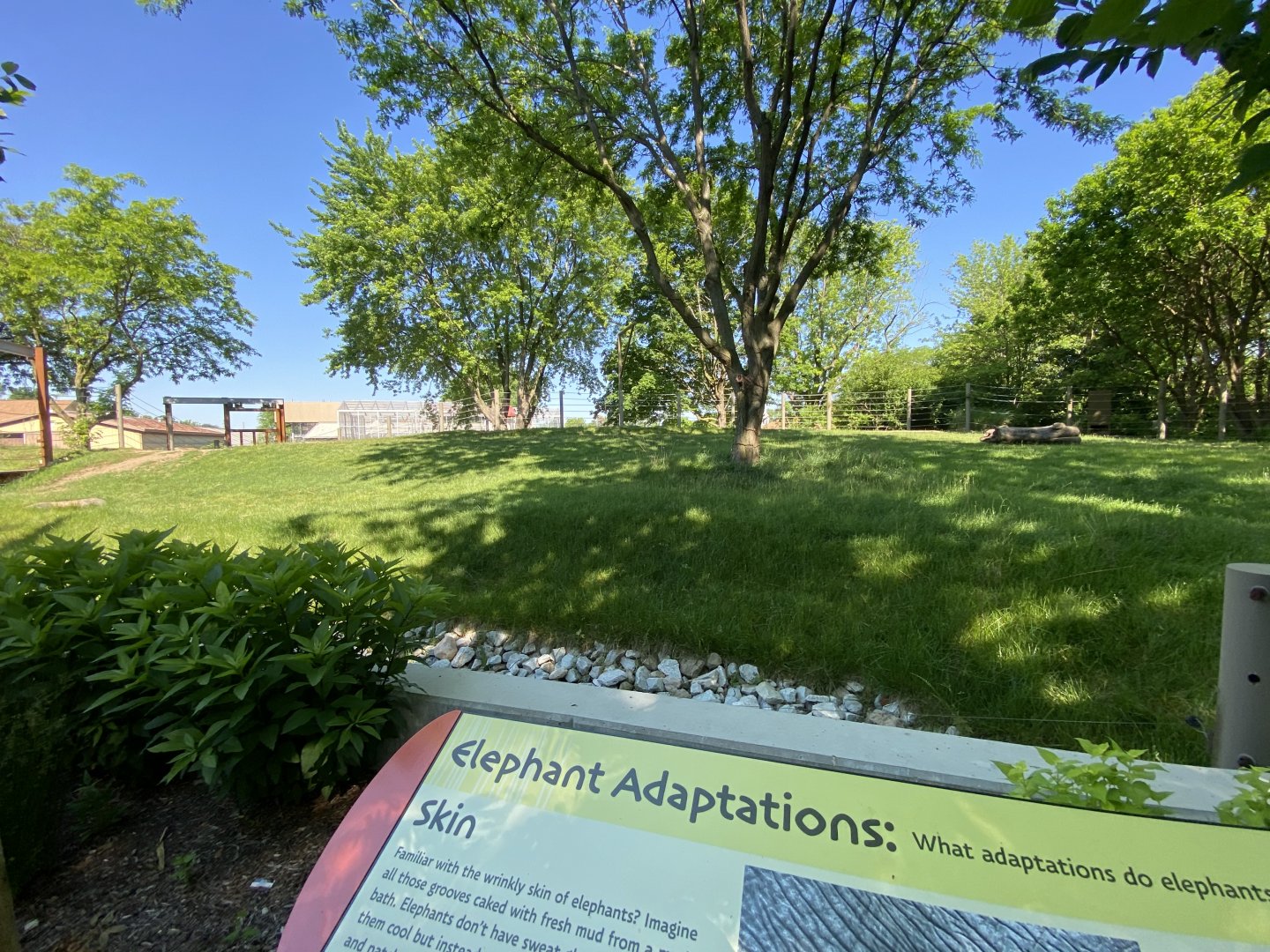Jun. 2021 - Plains (Tembo Camp) - African Elephant Exhibit