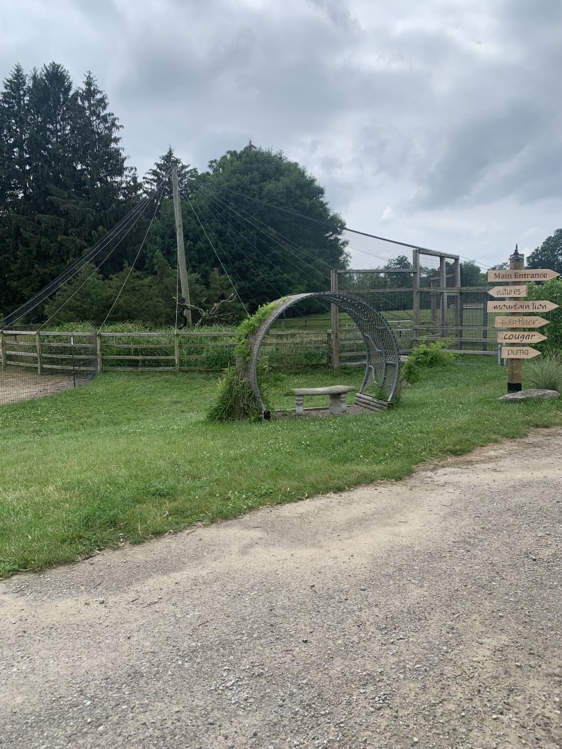 Jun. 2021- Vulture aviary