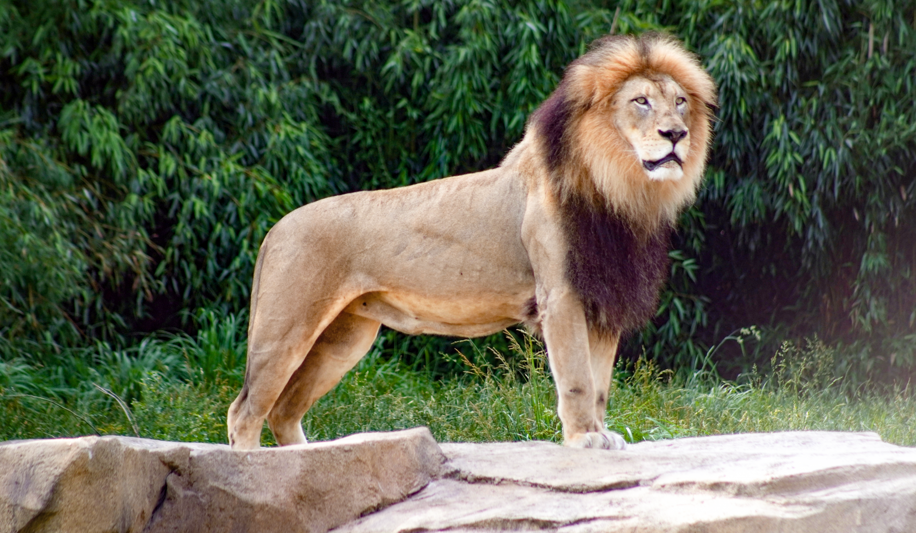 Jun. 2022 - Africa - John