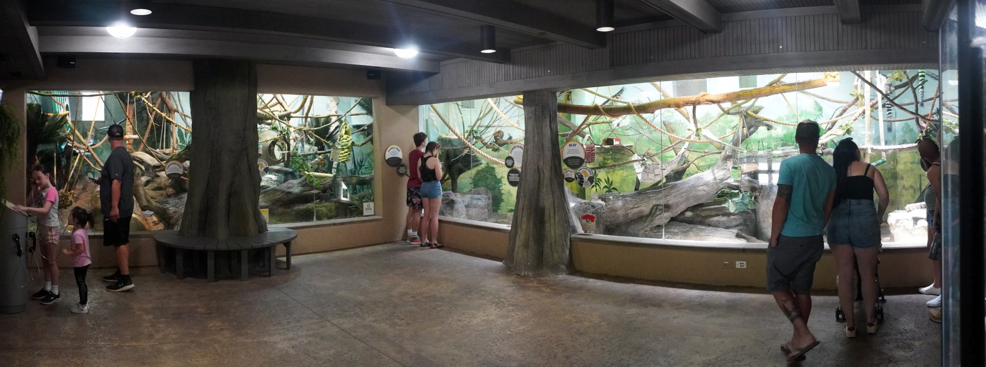 Jun. 2022 - Legends of the Wild - Madagascar - Lemur Exhibits