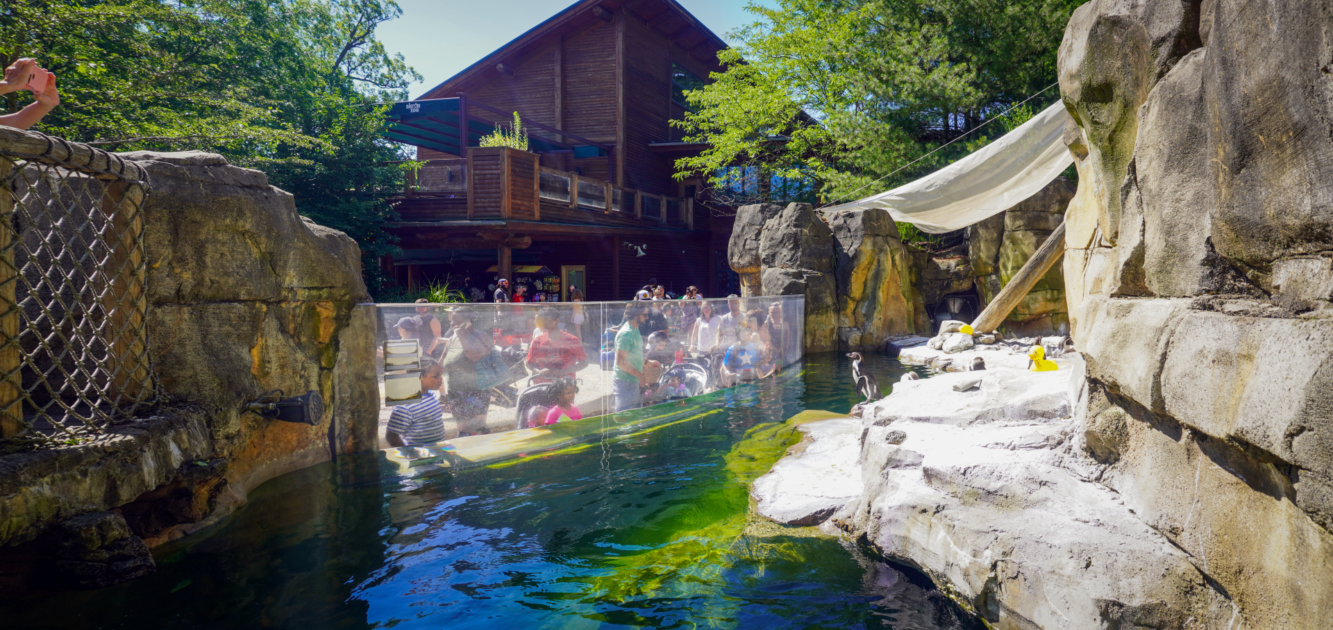 Jun. 2022 - Legends of the Wild - Penguin Point