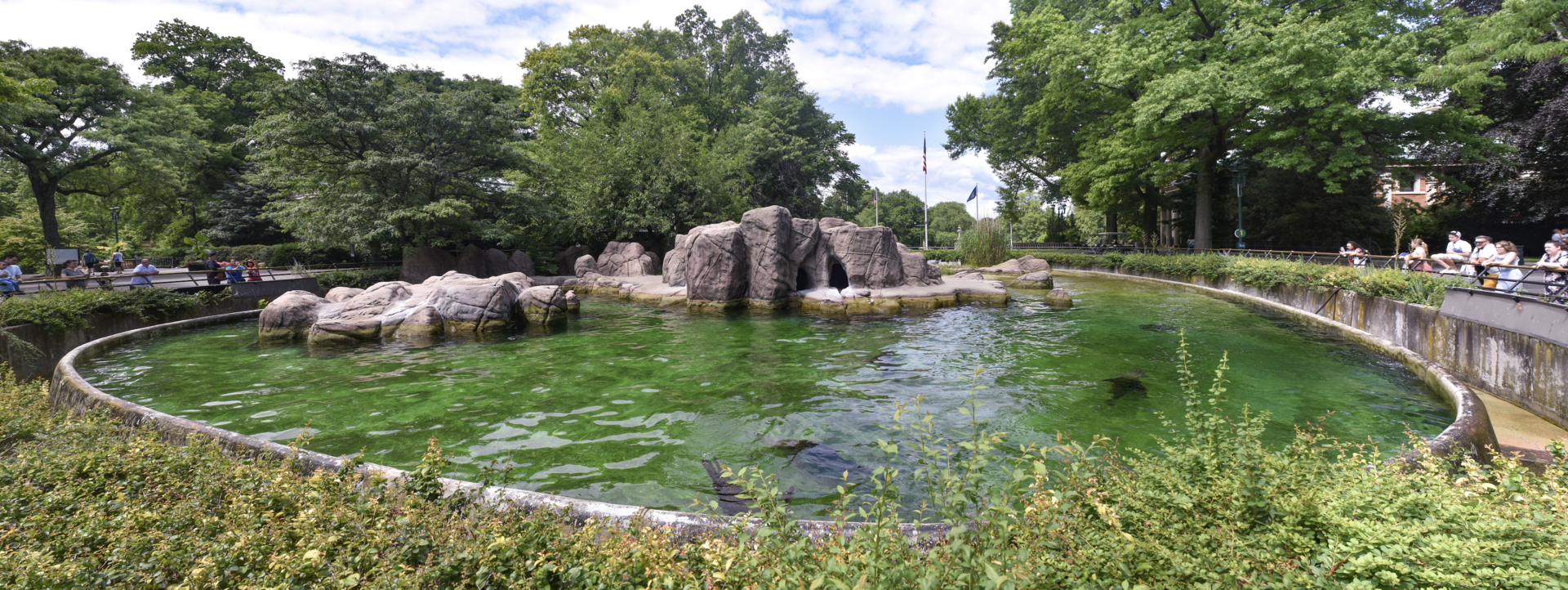 Jun. 2023 - Astor Court - Sea Lion Pool Panorama