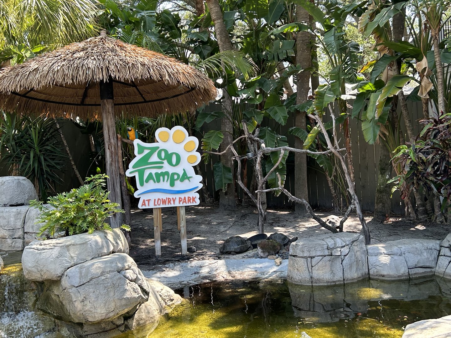 Jun. 2023- Blue-and-yellow macaw and Galapagos giant tortoises