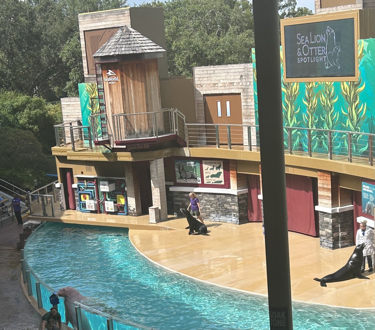 Jun. 2023- California sea lions and Pacific walrus