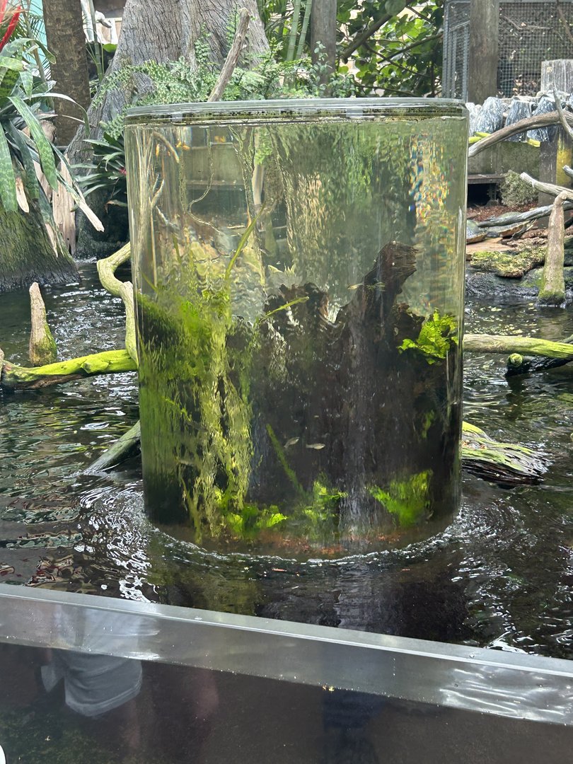 Jun. 2023- Cylinder tank