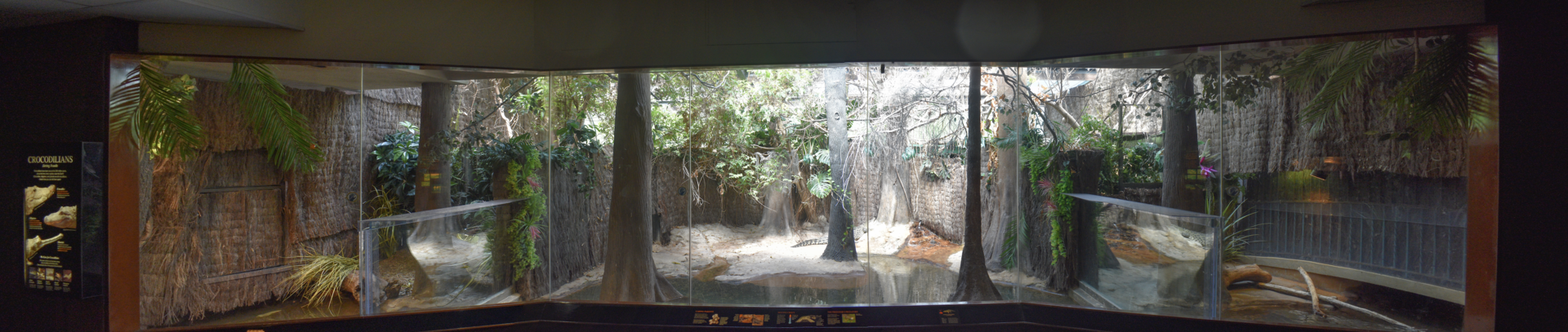 Jun. 2023 - World of Reptiles - Chinese Alligator + Cuban Crocodile + Dwarf Crocodile Exhibits