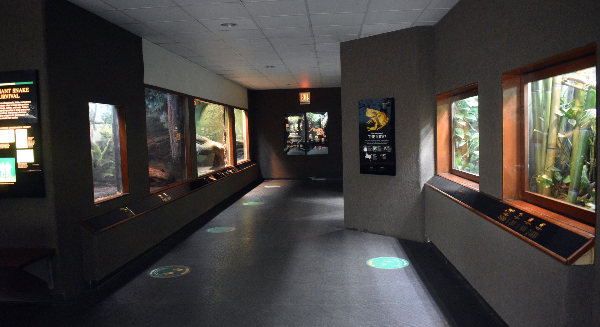 Jun. 2023 - World of Reptiles - Second Hallway