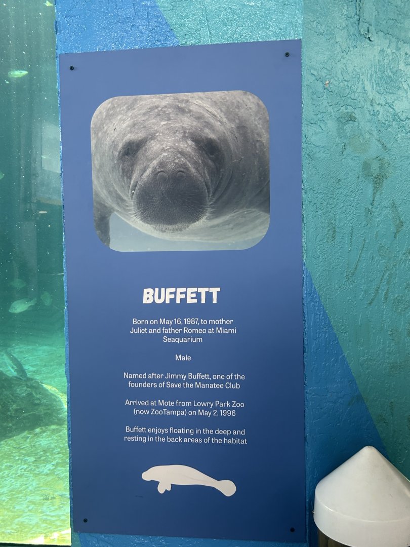 Jun. 2024- Buffett signage