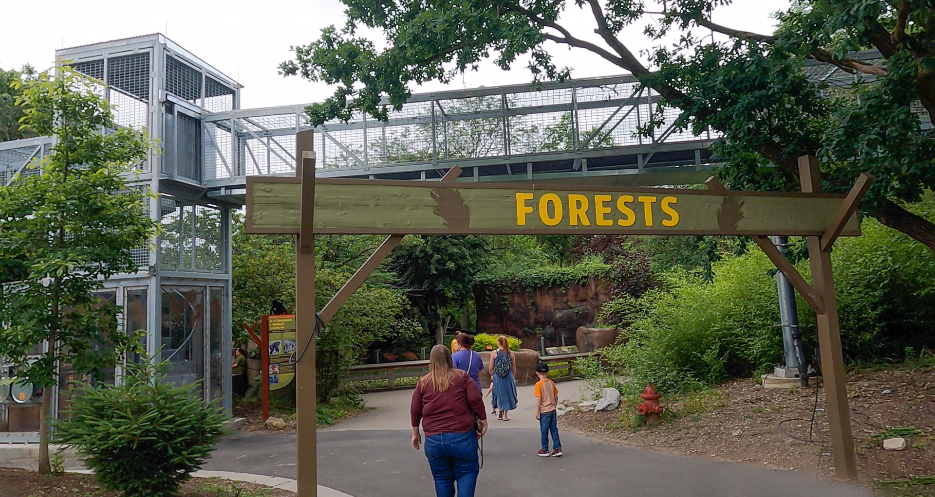 Jun. 2024 - Forests Entrance With Chimpanzee Walkway