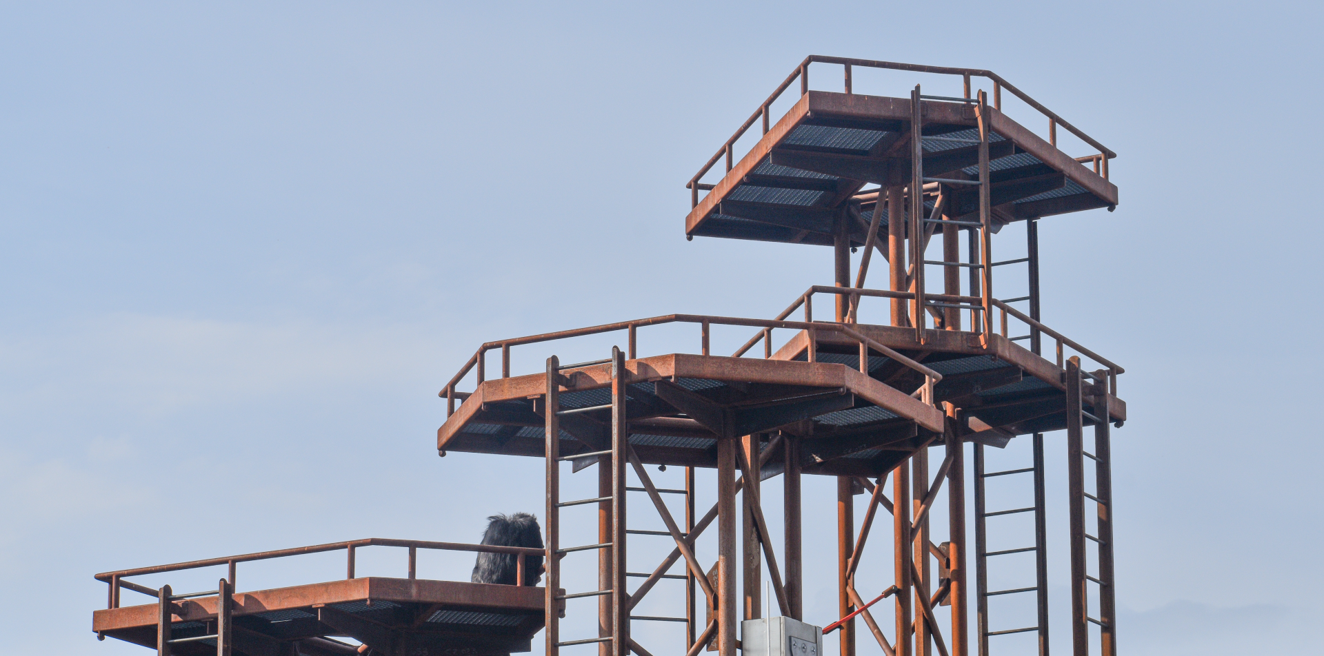 Jun. 2024 - International Chimpanzee Complex - Community Hub (First Exhibit)