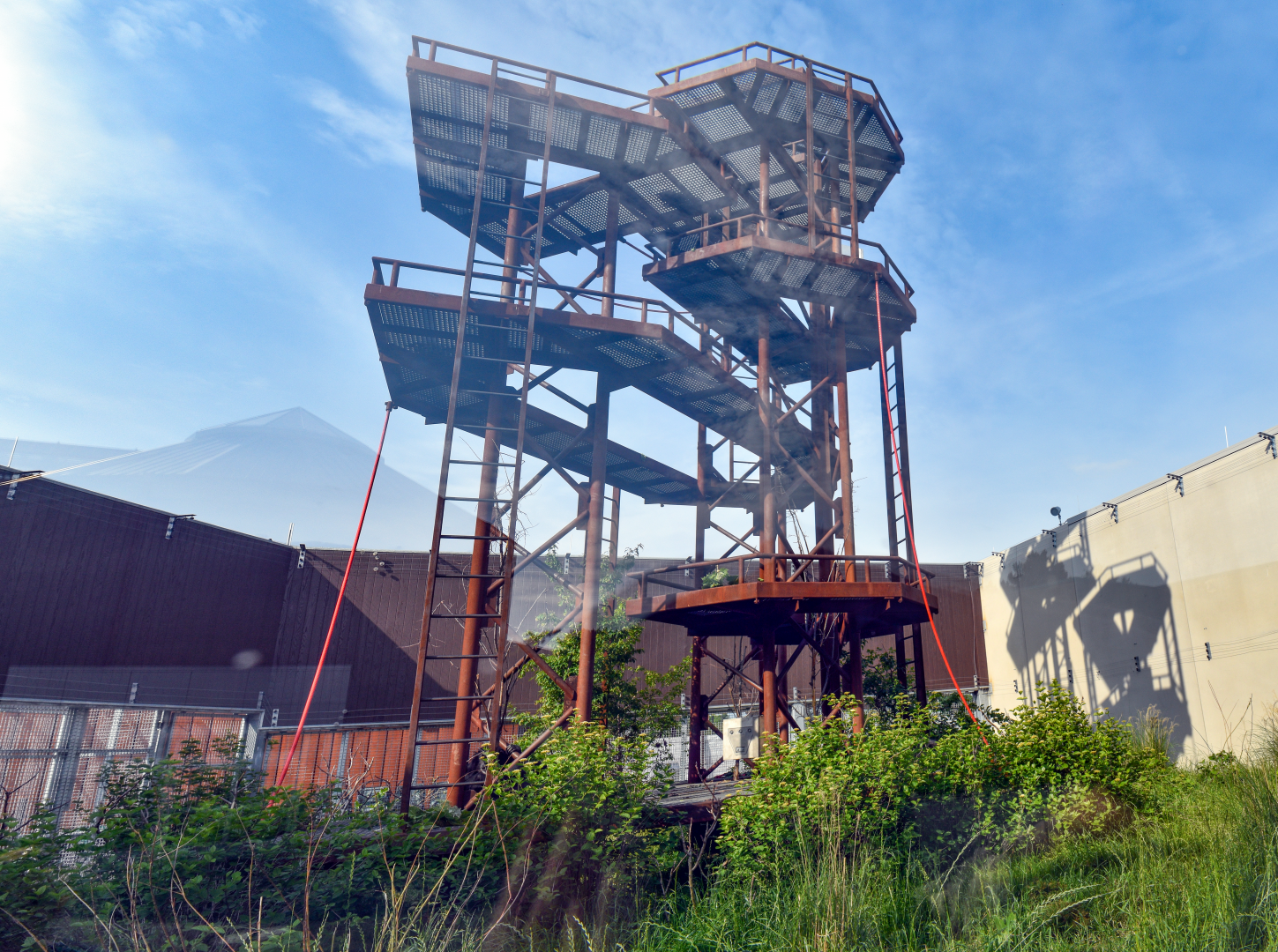 Jun. 2024 - International Chimpanzee Complex - Community Hub (First Exhibit)