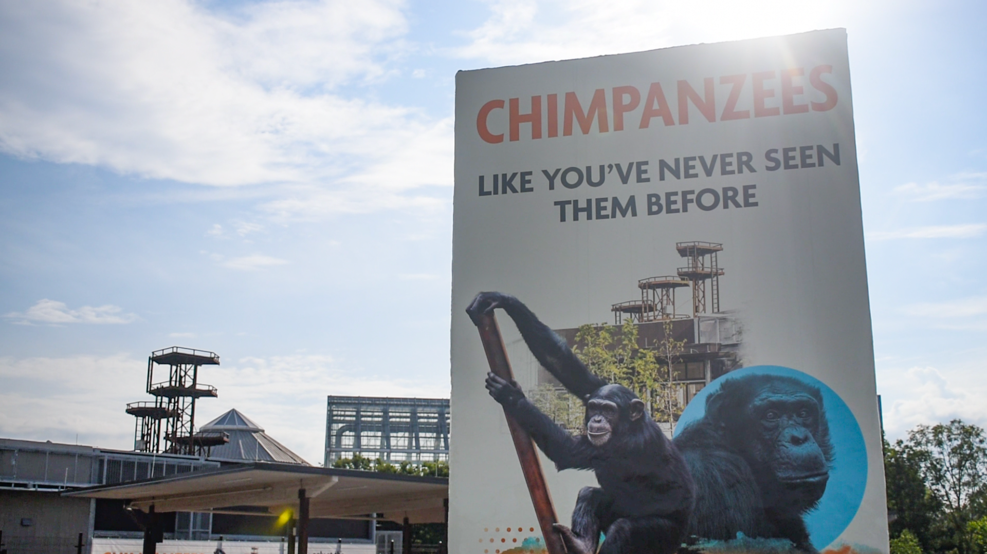 Jun. 2024 - International Chimpanzee Complex Promo Sign in Parking Lot